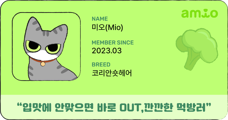 고양이 포커스 이미지